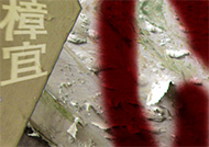幽灵樟宜